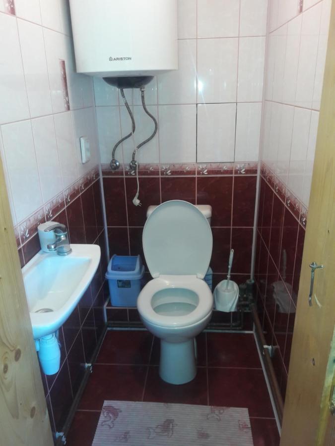 Садиба Горизонт Verkhovyna Ngoại thất bức ảnh